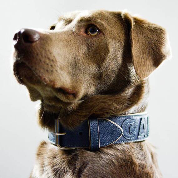 Personalisiertes Halsband aus Leder blau, Schriftfarbe frei wählbar