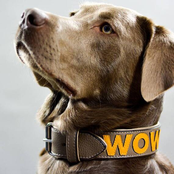 Personalisiertes Halsband aus Leder in taupe, Schriftfarbe frei wählbar