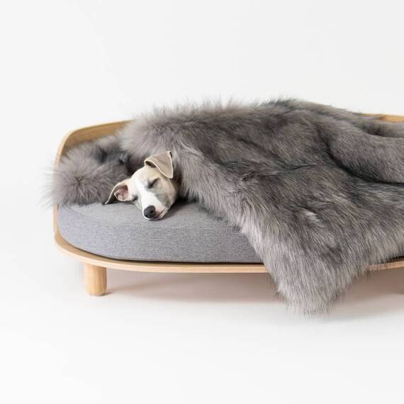 Kuscheldecke für Hunde FÖRA grau von Labbvenn®