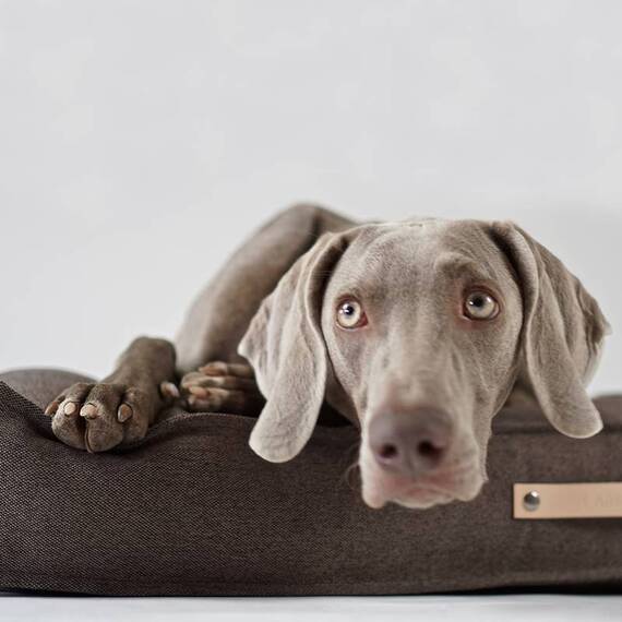 Labbvenn® Hundekissen TÖVE braun
