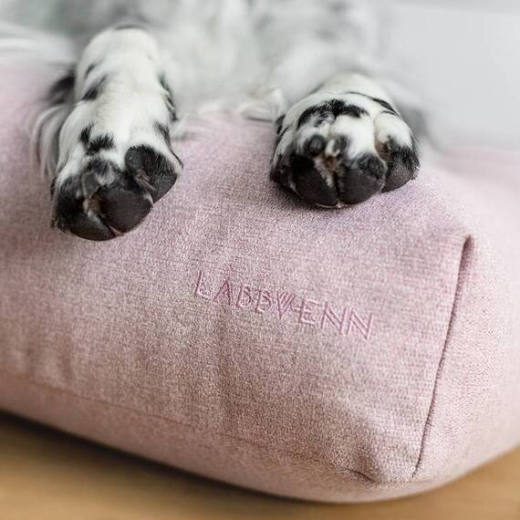 Hundekissen FINNO in rose von Labbvenn®