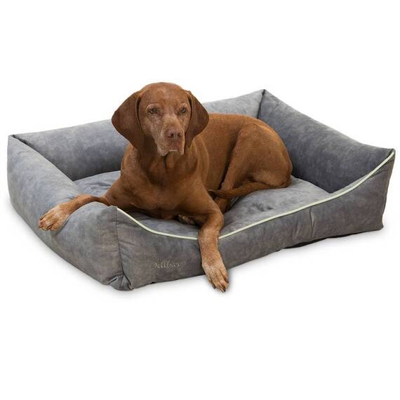 Orthopädisches Hundebett Samt, verschiedene Farben