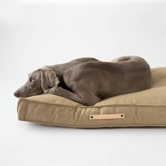 Labbvenn® Hundekissen MØVIK biscuit