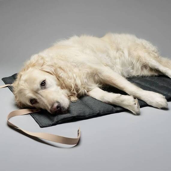 Labbvenn® Hundereisebett FOSSER anthrazit