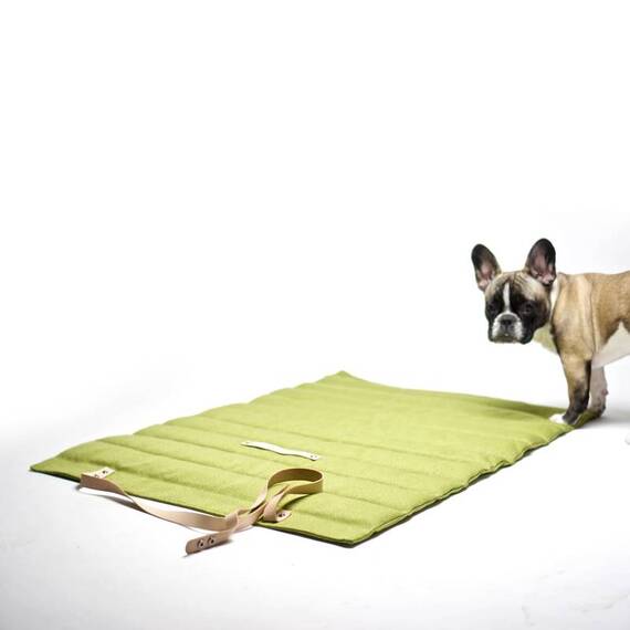 Labbvenn® Hundereisebett FOSSER grün