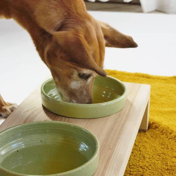 Futterbar für Hunde aus Holz und Keramik, maigrün