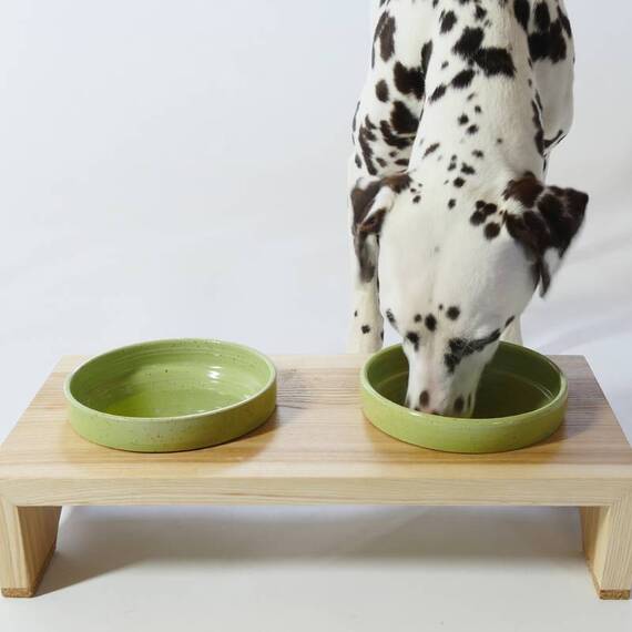 Futterbar für Hunde aus Holz und Keramik, maigrün