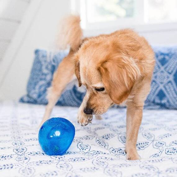 XXL Intelligenzspielzeug für Hunde Snoop von Planet Dog