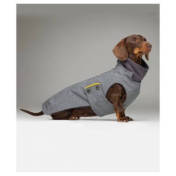 tQel Regenmantel für Dackel ZERMATT grau, gefüttert