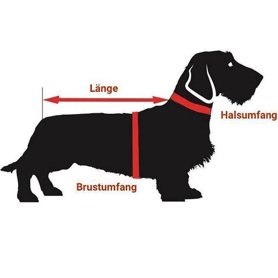 tQel Regenmantel für Dackel ZERMATT grau, gefüttert