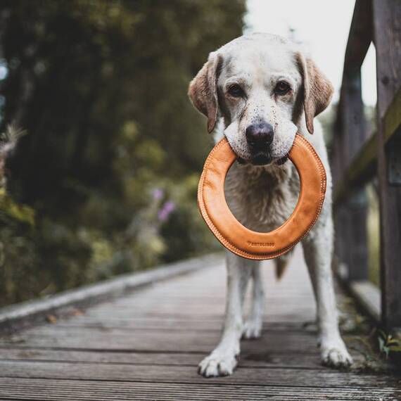 Wurfring aus Leder für Hunde - braun