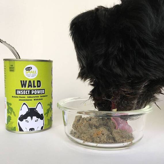 SPARPAKET Insekten Nassfutter für Hunde WALD • Eat Small