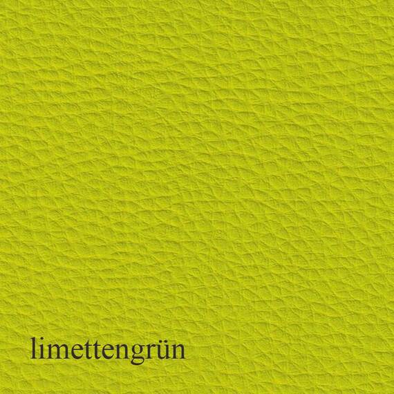 Orthopädisches Kunstleder Hundekissen CLOUD Gelschaum