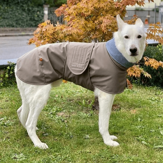 Hundemantel Angus aus Waxed Cotton • Maßanfertigung