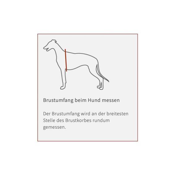 Hundemantel Angus aus Waxed Cotton • Maßanfertigung