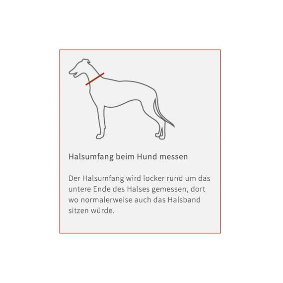 Hundemantel Angus aus Waxed Cotton • Maßanfertigung