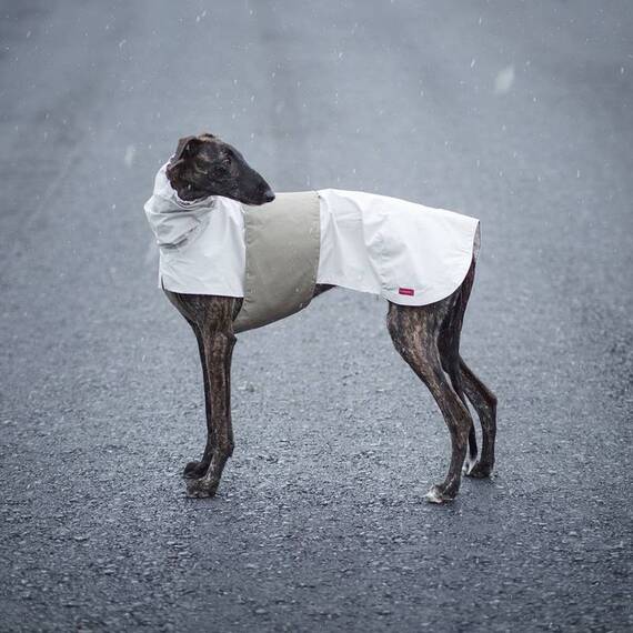 Hunde-Wettermantel SNOOPY aus Bio-Baumwolle • Maßanfertigung