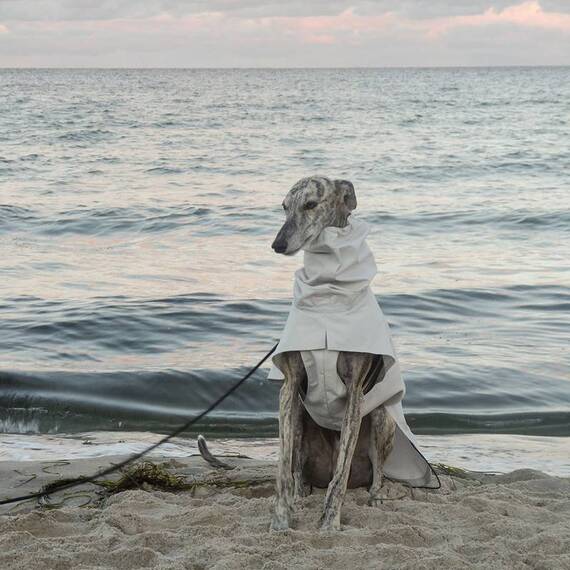 Hunde-Wettermantel SNOOPY aus Bio-Baumwolle • Maßanfertigung