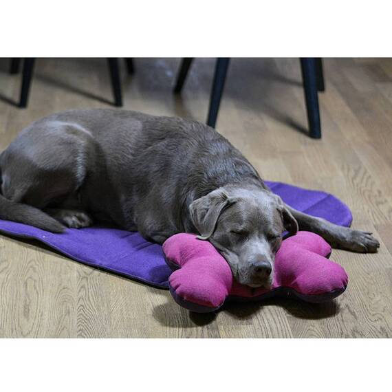 Reisedecke FANNY mit Gurt für den Hund • oliv | lila