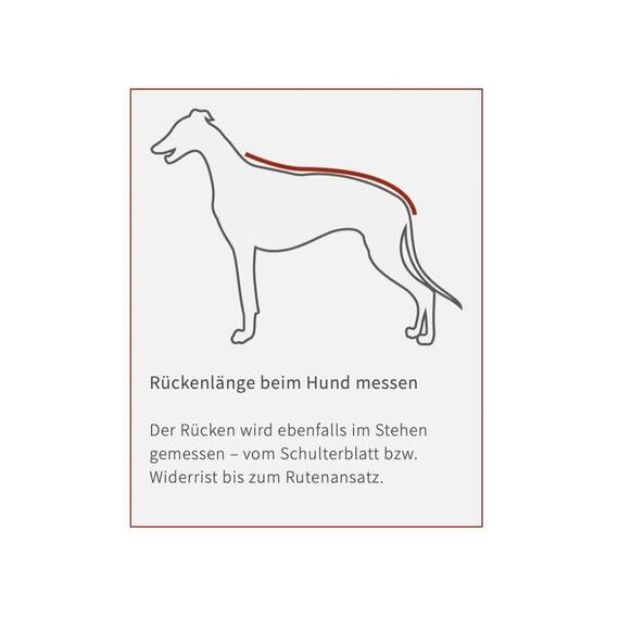 Hundemantel LUK aus Softshell • Maßanfertigung