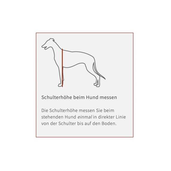 Hundemantel Angus aus Waxed Cotton • Maßanfertigung