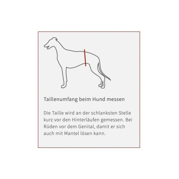 Hundemantel LUK aus Softshell • Maßanfertigung