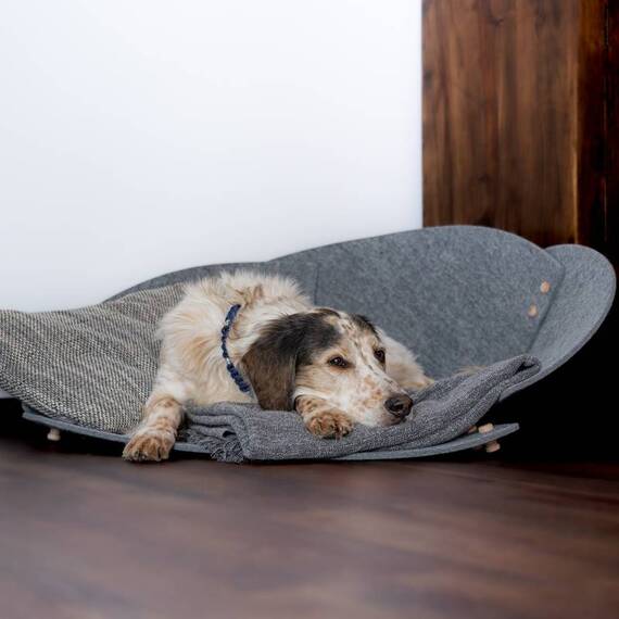 Hundekörbchen | Liegeplatz | Reisebett aus Filz • Baskit