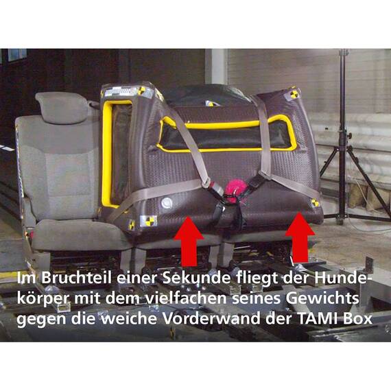 Tami Hundebox für den Rücksitz • aufblasbar • S – L