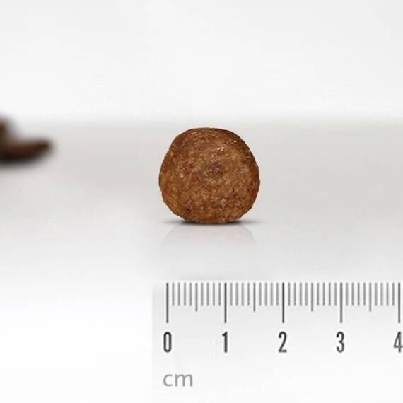 Hypoallergenes Trockenfutter LAMM mit Kartoffeln • Billo's