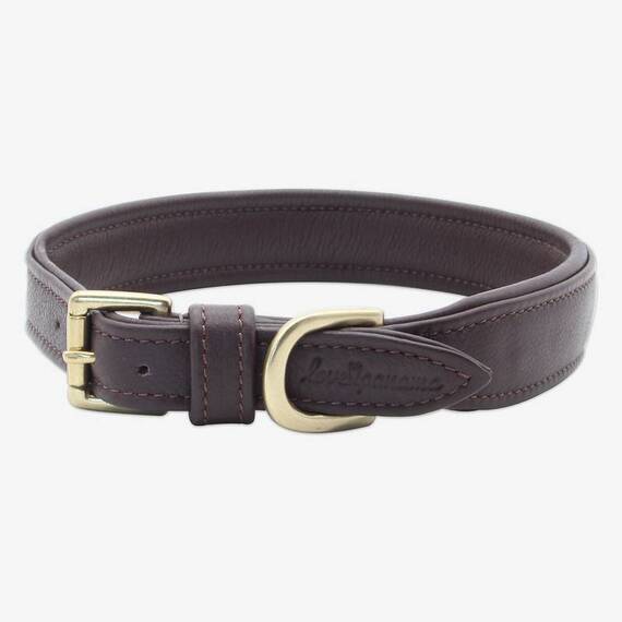 Gepolstertes Halsband aus Leder "Beginning" • coffee