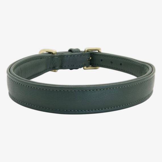 Gepolstertes Halsband aus Leder "Beginning" • forest green