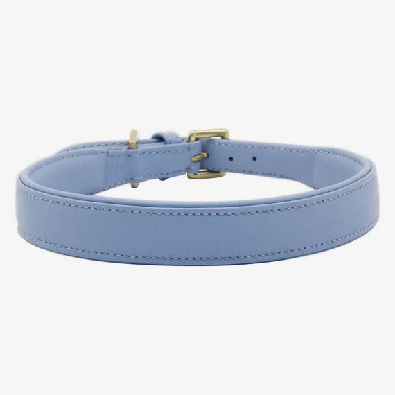 Gepolstertes Halsband aus Leder "Beginning" • sky blue