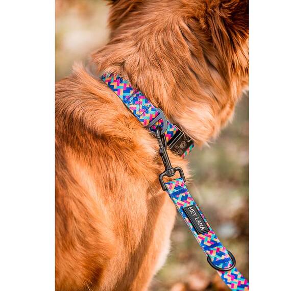 Leichtes Halsband, stufenlos verstellbar • pink | türkis