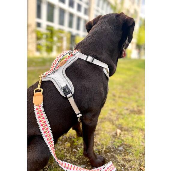 Hundegeschirr gepolstert mit Griff, Brustring und Reflektoren • pink