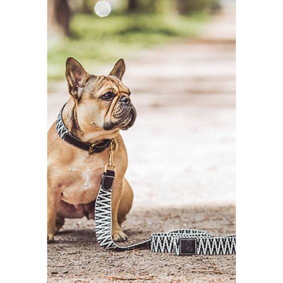 Hundehalsband, gepolstert und verstellbar • schwarz | weiß