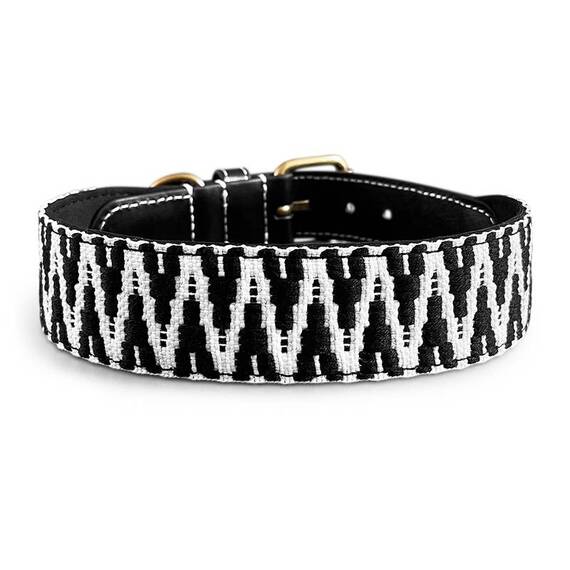 Hundehalsband, gepolstert und verstellbar • schwarz | weiß