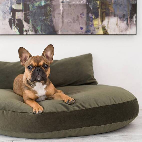 Luxus Hundebett PRADO OXFORD mit geflochtenem Rahmen von Laboni • oliv