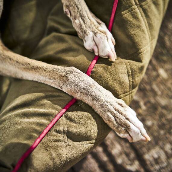 Hundebett mit Rand OXFORD von Laboni • oliv