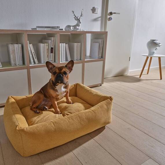 Hundebett mit Rand TUDOR von Laboni • gold
