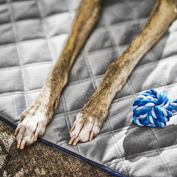 Steppdecke für den Hund OXFORD von Laboni • grau