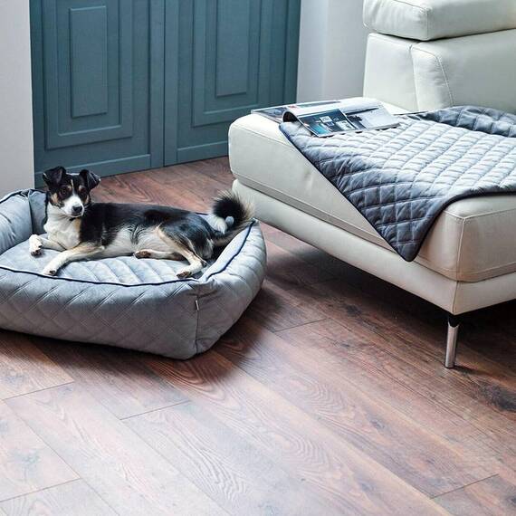 Steppdecke für den Hund OXFORD von Laboni • grau