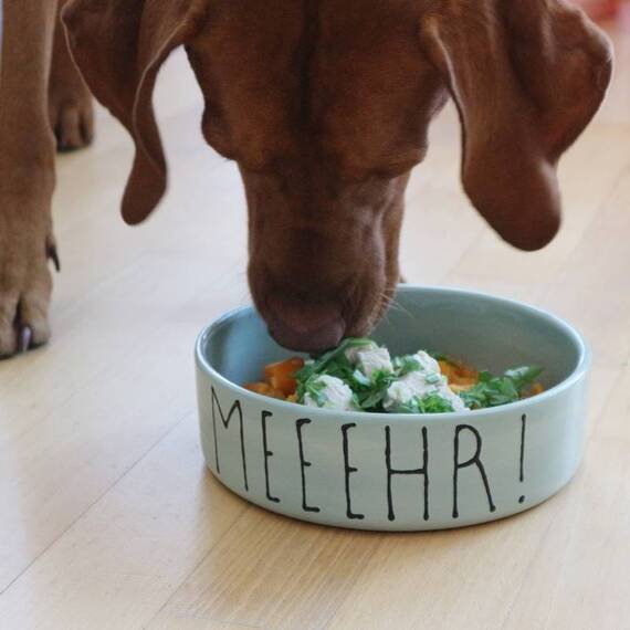 Personalisierter Hundenapf aus Keramik
