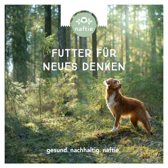 naftie Bio Hundefutter Nassfutter Mischpaket "weniger Fleisch"