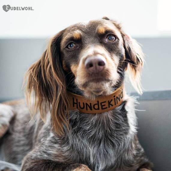 Namenshalsband aus Fettleder, Farben frei wählbar