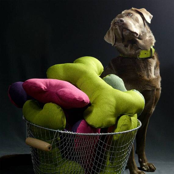 XXL Knochenkissen für Hunde "Schoasch" in Pink • gaiaswelt