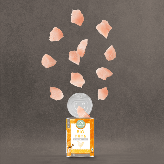 naftie Reinfleisch 100% BIO HUHN pur Sparpakete