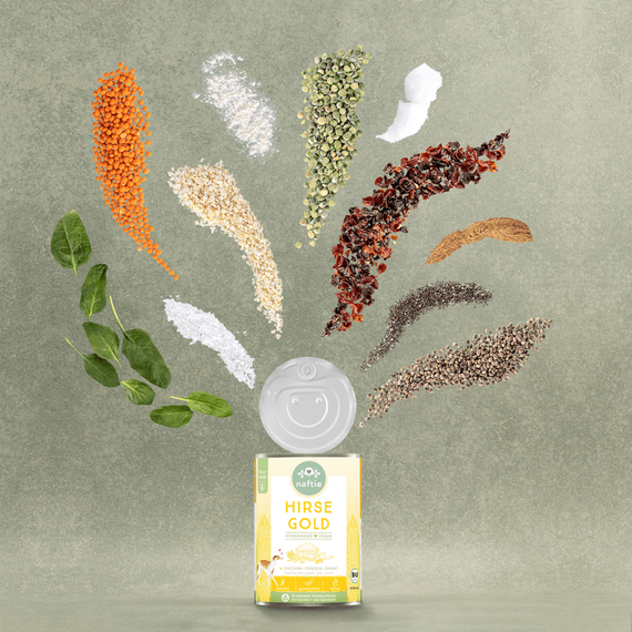 naftie Hirse & Kürbis Testpaket veganes Hundefutter Nassfutter