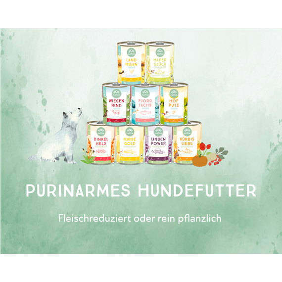 naftie veganes Hundefutter Nassfutter Bio Testpaket