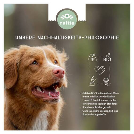 naftie Kauwurzel für Hunde