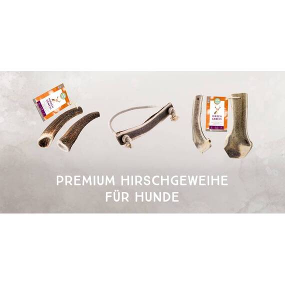 naftie Hirschgeweih Kauseil für Hunde